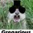GregariousGopher