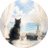Chat_de_fevrier's profile image