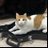 ewanixx's profile image