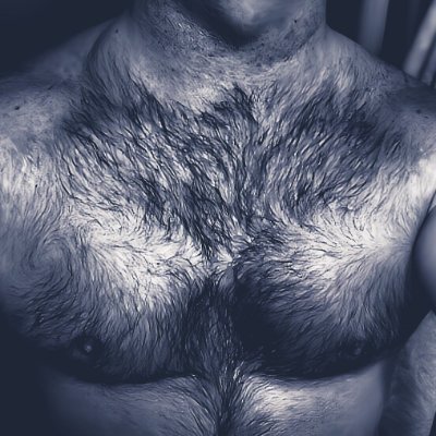 bigpappaiv Profile Picture