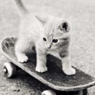 brandonquackson's profile picture. 