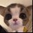 _c_xv's profile image
