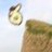 takbbu8464's profile image