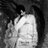 Archive0810's profile image