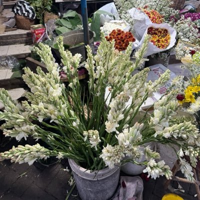 recehdailypost's profile image