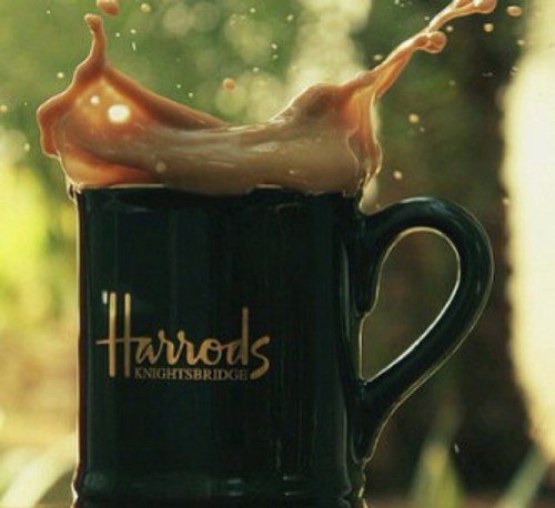 bornwise967's profile picture. 