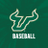 USFBaseball's profile image