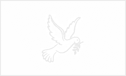 PeacePreserver's profile picture. Ron Schlangen, the author of Be Peace Full & The Peace Preserve