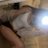 VeluneLisa's profile image