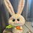 everl89's profile image