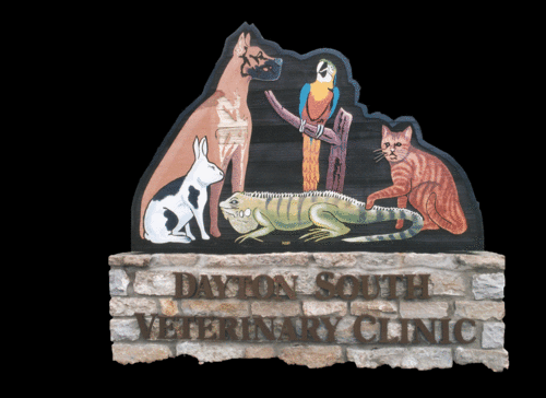 Dayton South Veterinary Clinic providing small animal, avian, and exotic animal medical care in Kettering, OH. 
Call us today at 937-294-8888