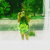 darlene huynh (@lofithriller) 's Twitter Profile