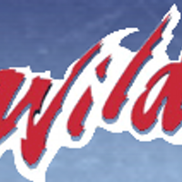 Woolwich Wild Girls Minor Hockey Association (@wgmha) Twitter profile photo