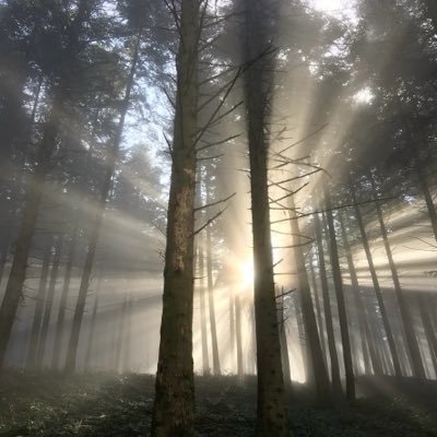 مع عدم احترامي