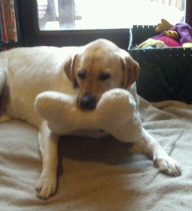 mrssmith83ct's profile picture. 