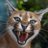 Alfrdwa's profile image