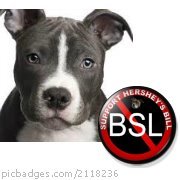 REMOVE THE PITBULL BAN is the name of my group to get rid of BSL on facebook please join!!!