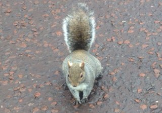 Discovery Tours Ltd Profile