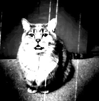 KnollKath's profile picture. Intrepid Explorer, in constant state of arrival/departure