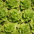 HFUUHaleakala's profile image