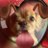 vesperranntt's profile image