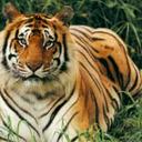 chloe cochrane - @chloe_cochrane - Twitter