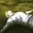 db_math's profile image