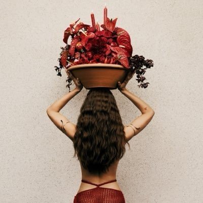 eu vi pote de ouro e não vi arco-íris
