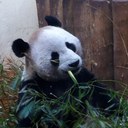 Ian Forrest - @forrest2209 - Twitter