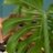henryc58's profile image