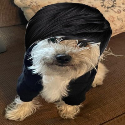 Soon to be Evangelical Catholic | Student of Theology | Maltese Dog maxxer | Psalm 51 | Sola Apostolica | Metalhead | Wolverine Lover | Pretty emo