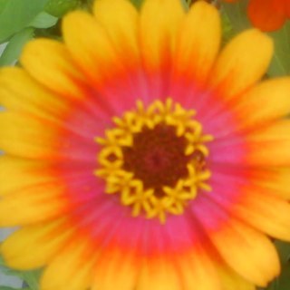 lpnjb's profile picture. ♌️Leo🦁planet:🌞element:🔥 mom of 2👩🏻👦🏻dreamer-🙏🌎🇺🇸