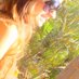 melissa casari (@melissacasari) Twitter profile photo melissa casari (@melissacasari) Twitter profile photo
