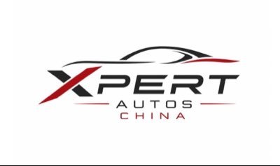 Direct importation of Electric Vehicles (EVs), Hybrid cars, SUVs, Trucks from China, We are trusted for sourcing,Shipping, and doorstep delivery  +8619589470484
