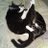 Zippy0666's profile image