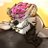 RenjiPanda's profile image