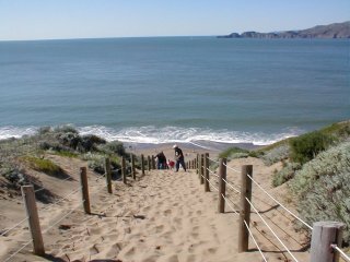 F8thnaction's profile picture. Current events/News junkie, lover of the written word, writer, teacher, sports fanatic and true believer that we don't have to agree but we must be respectful