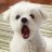zzxzsq's profile image