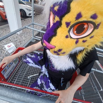 💜 | Male | Cat | Engineer | 3D designer | Fursuit maker | LEGO builder | VR gamer | 80s fan | 💛

💜 Single and looking for that special someone 💛