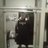 uSHANE_bolt's profile image