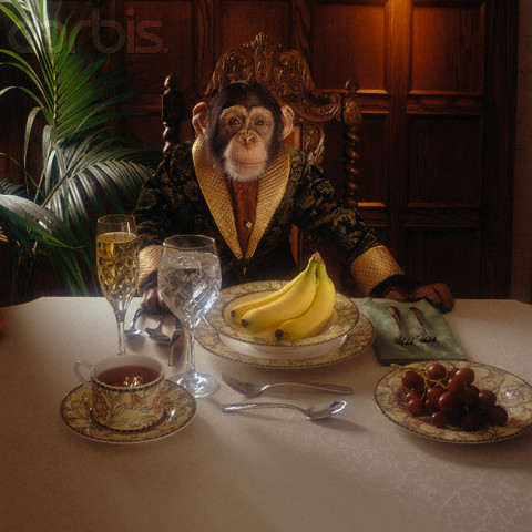 lowlifeform's profile picture. primate first class.