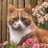LoetjeBerg's profile image