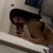 forbidden_444's profile image