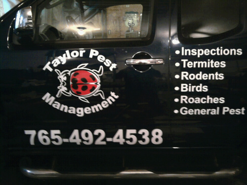 Pest Control Company