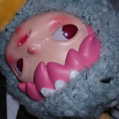(　:ﾟ皿ﾟ)