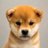 justadogmeme_'s profile image