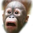 russell john dower - @russell3782 - Twitter