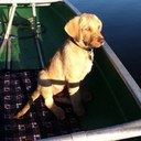 Kristen Roach - @K_Roach - Twitter