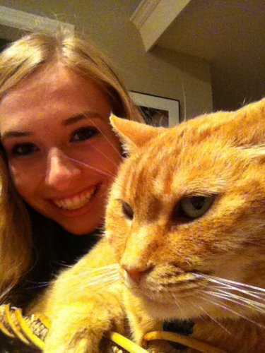 MayhemCitrenbau's profile picture. Cat.