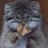 ahabmael's profile image